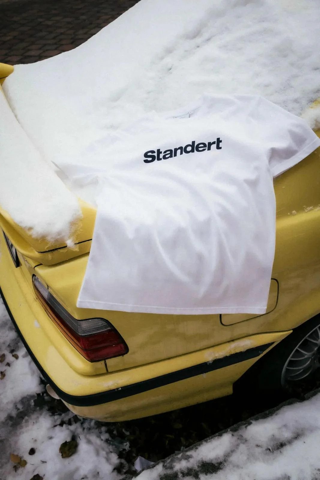 T-Shirt | Performance Logo | White MY 24 - Image 3